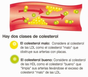 Colesterol